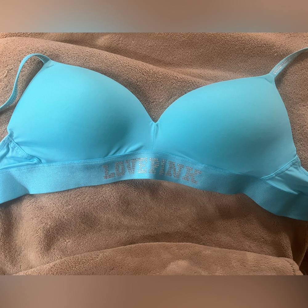 Brand New PINK Bra